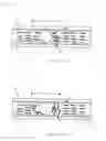 Fig. 08 - Liquid-crystal display device and process of fabricating it