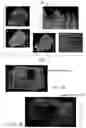 Fig. 03 - Methodologies for non-destructive quantification of thermal barrier coating temperatures on service run parts