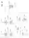 Fig. 09 - Incremental system for real time digital ink analysis
