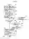 Fig. 06 - Wavelength division multiplexing apparatus