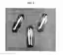 Fig. 07 - Film-forming composition suitable for hard capsules and method for preparing the same