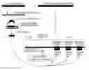 Fig. 01 - BIOINFORMATICALLY DETECTABLE GROUP OF NOVEL VACCINIA REGULATORY GENES AND USES THEREOF