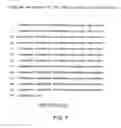 Fig. 09 - Altered recombinases for genome modification