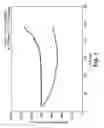 Fig. 05 - Membrane system for blood coagulation testing