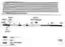 Fig. 01 - Isolated nucleic acid molecules encoding the Br2 P-glycoprotein of maize and methods of modifying growth in plants transformed therewith