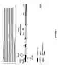 Fig. 02 - Isolated nucleic acid molecules encoding the Br2 P-glycoprotein of maize and methods of modifying growth in plants transformed therewith