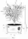 Fig. 02 - Motivational message tree