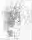 Fig. 09 - Aquatic vegetation groomer