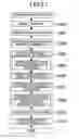 Fig. 20 - Apparatus and method for controlling air/fuel ratio of internal combustion engine