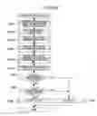 Fig. 26 - Apparatus and method for controlling air/fuel ratio of internal combustion engine