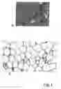 Fig. 02 - Process for producing a lightweight molded part and molded part made of metal foam