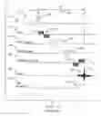 Fig. 02 - MRI method for simultaneous phase contrast angiography and invasive device tracking