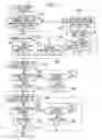 Fig. 10 - Examination apparatus