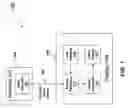 Fig. 02 - Time shifting for video