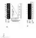 Fig. 02 - p18 in stem cell manipulations