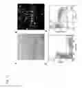 Fig. 14 - p18 in stem cell manipulations