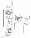 Fig. 18 - p18 in stem cell manipulations