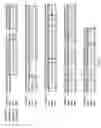Fig. 04 - Methods for treating a subject having cancer by the administration of a conjugate between a variant staphylococcal entertoxin E superantigen and an antibody that binds to the 5T4 antigen