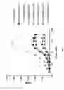 Fig. 08 - Methods for treating a subject having cancer by the administration of a conjugate between a variant staphylococcal entertoxin E superantigen and an antibody that binds to the 5T4 antigen