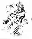 Fig. 11 - Methods for treating a subject having cancer by the administration of a conjugate between a variant staphylococcal entertoxin E superantigen and an antibody that binds to the 5T4 antigen