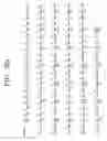 Fig. 10 - Neutralizing High Affinity Human Monoclonal Antibodies Specific to RSV F-Protein and Methods for their Manufacture and Therapeutic use thereof