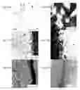 Fig. 14 - Stabilized antimicrobial compositions and related methods of preparation