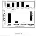 Fig. 07 - FERRITIN AS A THERAPEUTIC TARGET IN ABNORMAL CELLS