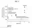 Fig. 07 - Method for preparing a dialkyl carbonate, and its use in the preparation of diaryl carbonates and polycarbonates