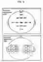 Fig. 07 - Living body information signal processing system combining living body optical measurement apparatus and brain wave measurement apparatus and probe device used for the same