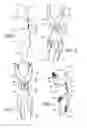 Fig. 02 - Knee brace