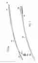 Fig. 05 - Oval-Shaped Cardiac Cannula