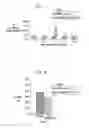 Fig. 06 - Stimulation for treating brain events and other conditions