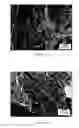 Fig. 19 - Ti, Al and Nb alloys