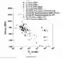 Fig. 24 - Ti, Al and Nb alloys