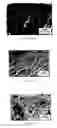 Fig. 25 - Ti, Al and Nb alloys