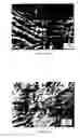 Fig. 28 - Ti, Al and Nb alloys