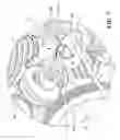Fig. 09 - Slipper clutch for a model vehicle