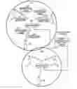 Fig. 01 - Method of mobile communication and apparatus therefor