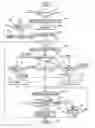 Fig. 01 - Image reproduction apparatus
