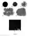 Fig. 02 - Water treatment compositions and methods of making and using