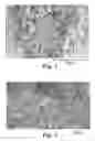 Fig. 02 - Chromonic nanoparticles containing bioactive compounds