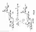 Fig. 09 - Polysaccharide-staphylococcal surface adhesin carrier protein conjugates for immunization against nosocomial infections