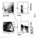 Fig. 02 - Selection of b cells with specificity if interest: method of preparation and use