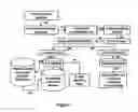 Fig. 02 - Compositions for use in identification of influenza viruses