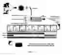 Fig. 06 - Compositions for use in identification of influenza viruses