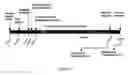 Fig. 13 - Compositions for use in identification of influenza viruses