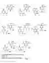 Fig. 02 - Solid support assay systems and methods utilizing non-standard bases