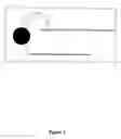 Fig. 02 - Polony fluorescent in situ sequencing beads