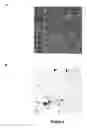 Fig. 09 - Polony fluorescent in situ sequencing beads