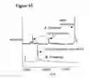Fig. 43 - Biological profiles and methods of use